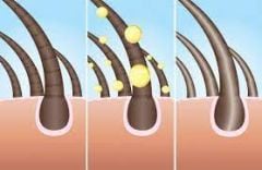 Babı Şifa Bitkisel Vitamin Kompleks Şampuan  400ml 2 Adet