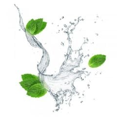 Gülefşan Bitkisel Mentol Ferahlığı Şampuan 400ml 2 Adet