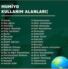 Mumiyo Tablet (30'lu)